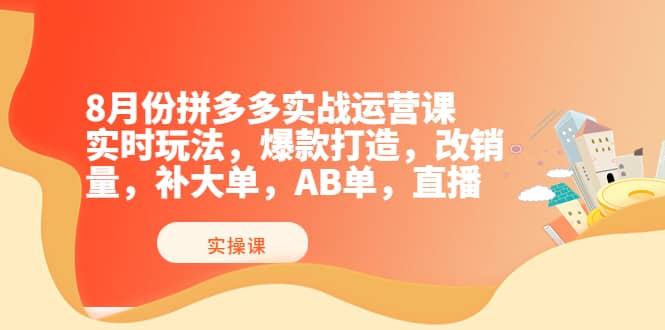 8月份拼多多实战运营课，实时玩法，爆款打造，改销量，补大单，AB单，直播-选优云网创