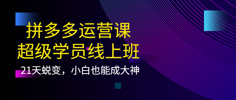 拼多多运营课：超级学员线上班，21天蜕变，小白也能成大神-选优云网创