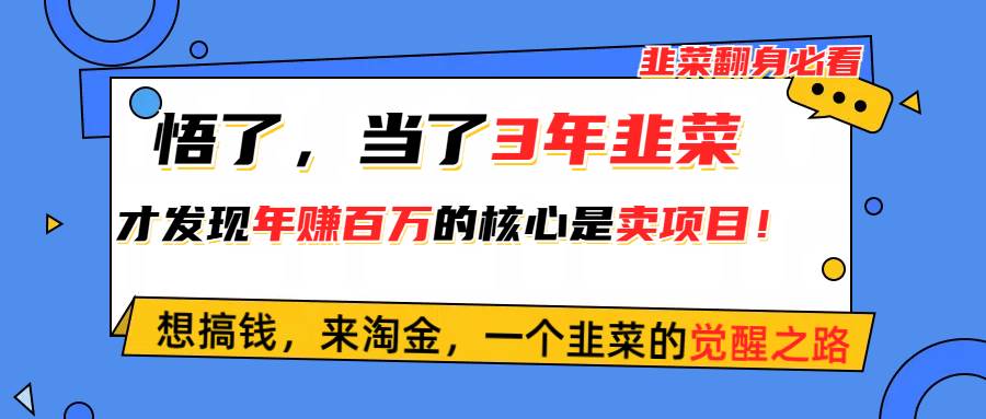 悟了，当了3年韭菜，才发现网赚圈年赚100万的核心是卖项目，含泪分享！-选优云网创