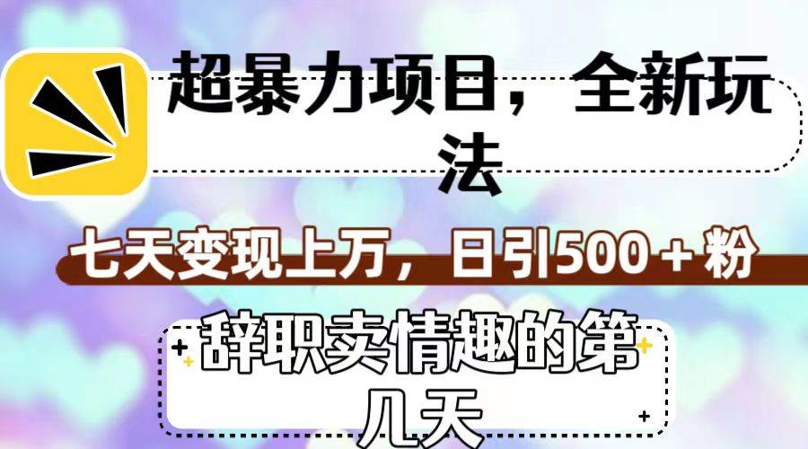 超暴利项目，全新玩法（辞职卖情趣的第几天），七天变现上万，日引500+粉-选优云网创