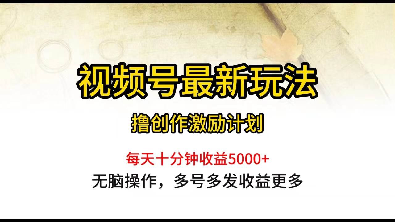 视频号最新玩法，每日一小时月入5000+-选优云网创