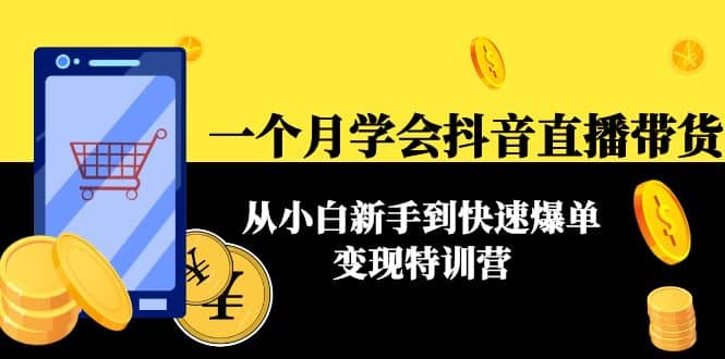 一个月学会抖音直播带货：从小白新手到快速爆单变现特训营(63节课)-选优云网创