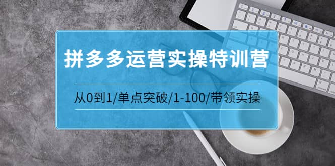 拼多多运营实操特训营：从0到1/单点突破/1-100/带领实操 价值2980元-选优云网创