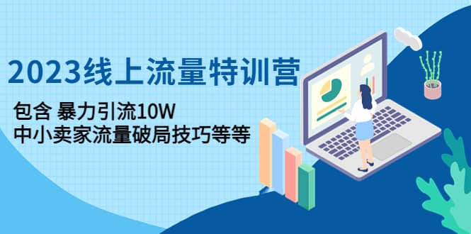 2023线上流量特训营：中小卖家流量破局技巧等等-选优云网创