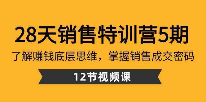 28天·销售特训营5期：了解赚钱底层思维，掌握销售成交密码（12节课）-选优云网创