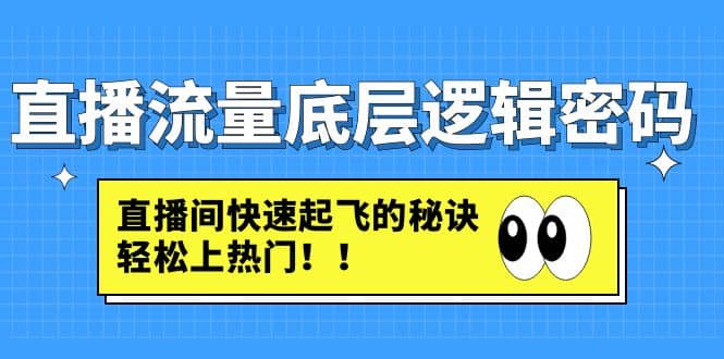 直播流量底层逻辑密码：直播间快速起飞的秘诀，轻松上热门-选优云网创