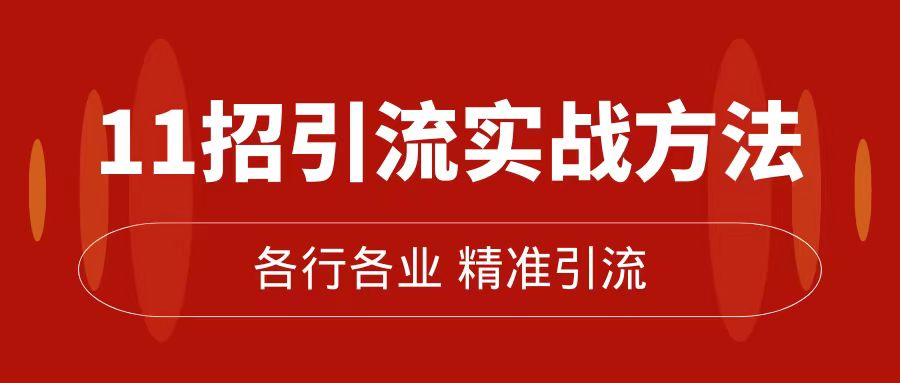 精准引流术：11招引流实战方法，让你私域流量加到爆（11节课完整版）-选优云网创