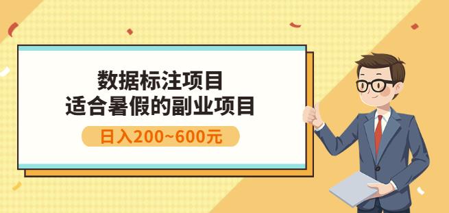 副业赚钱：人工智能数据标注项目，简单易上手，小白也能日入200+-选优云网创