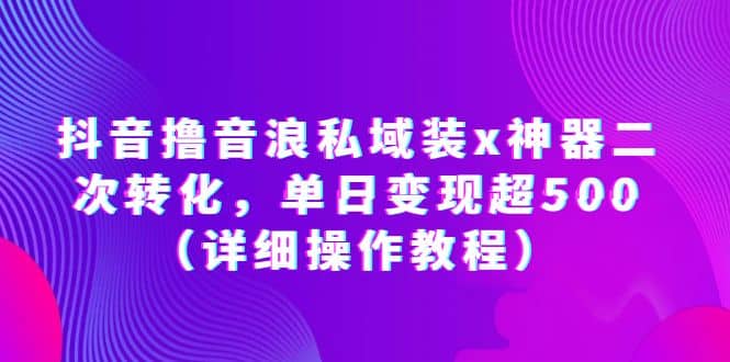 抖音撸音浪私域装x神器二次转化，单日变现超500（详细操作教程）-选优云网创