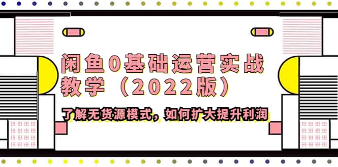 闲鱼0基础运营实战教学（2022版）了解无货源模式，如何扩大提升利润-选优云网创