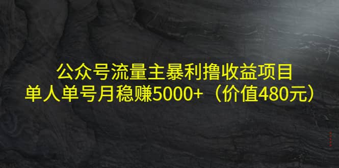 公众号流量主暴利撸收益项目，单人单号月稳赚5000+（价值480元）-选优云网创