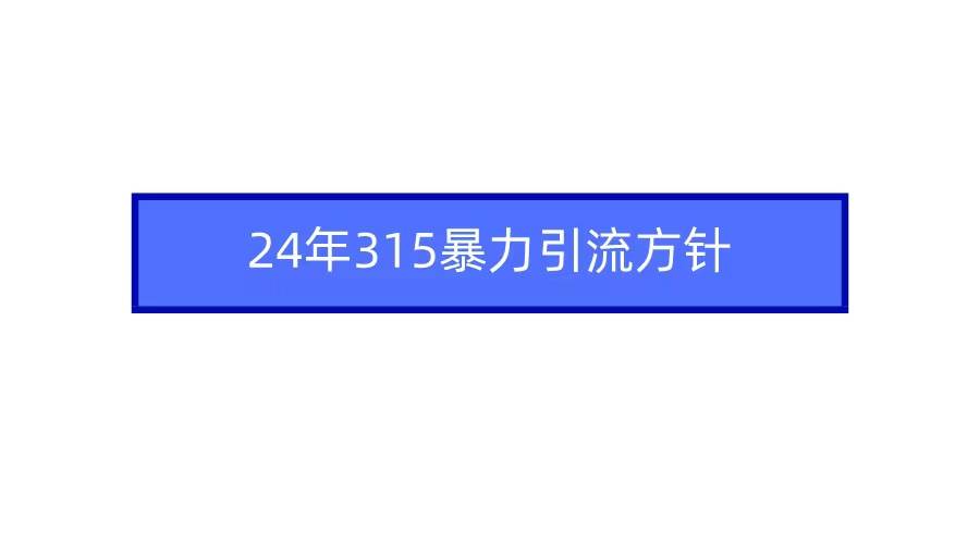 2024年315暴力引流方针-选优云网创