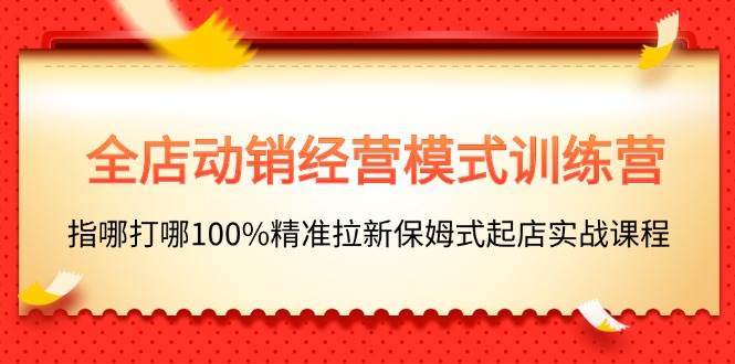 全店动销-经营模式训练营，指哪打哪100%精准拉新保姆式起店实战课程-选优云网创