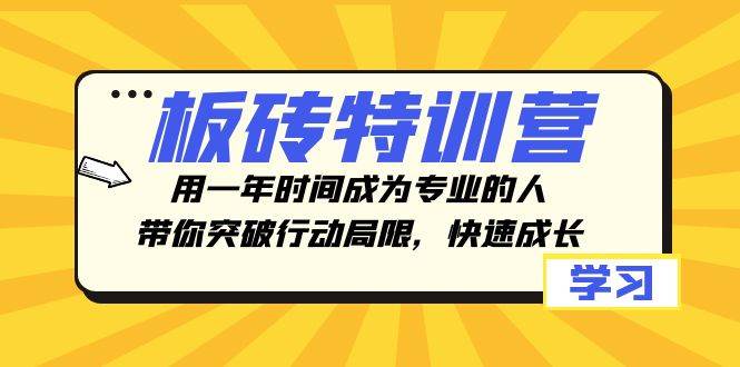 板砖特训营，用一年时间成为专业的人，带你突破行动局限，快速成长-选优云网创