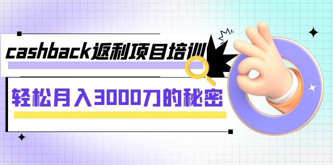 cashback返利项目培训：轻松月入3000刀的秘密（8节课）-选优云网创