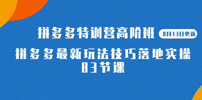 2023拼多多·特训营高阶班【9月13日更新】拼多多最新玩法技巧落地实操-83节-选优云网创