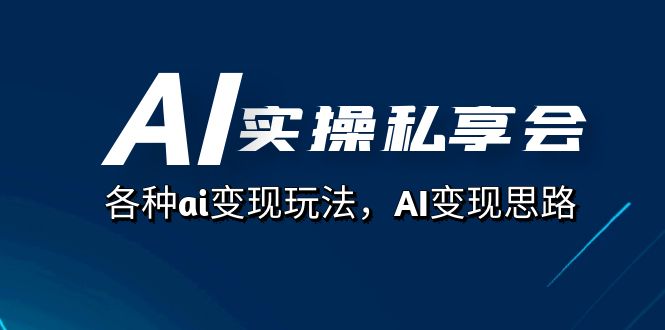 AI实操私享会，各种ai变现玩法，AI变现思路（67节课）-选优云网创