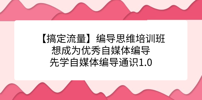 【搞定流量】编导思维培训班，想成为优秀自媒体编导先学自媒体编导通识1.0-选优云网创