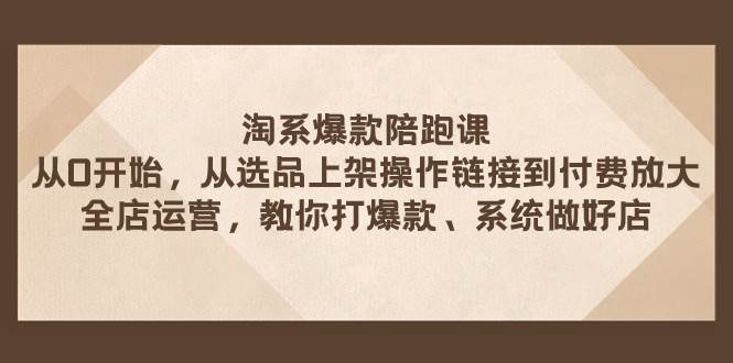 淘系爆款陪跑课 从选品上架操作链接到付费放大 全店运营 打爆款 系统做好店-选优云网创