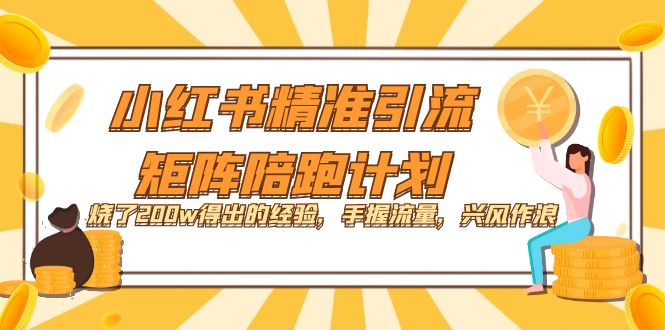 小红书精准引流·矩阵陪跑计划：烧了200w得出的经验，手握流量，兴风作浪！-选优云网创