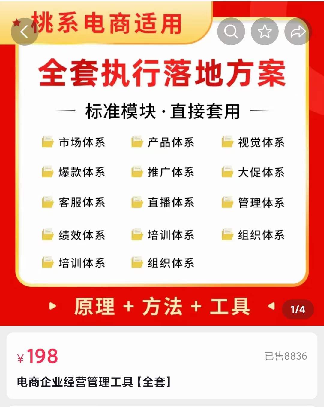 外面卖198·电商企业经营管理工具：全套执行落地方案 标准模块·直接套用-选优云网创