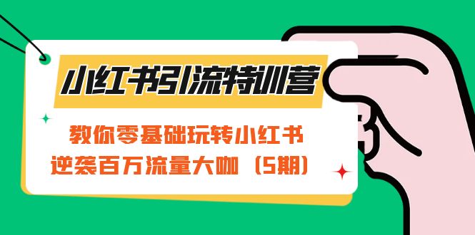 小红书引流特训营-第5期：教你零基础玩转小红书，逆袭百万流量大咖-选优云网创