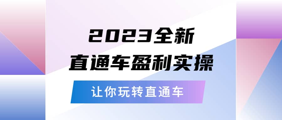 2023全新直通车·盈利实操：从底层，策略到搭建，让你玩转直通车-选优云网创