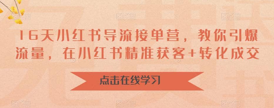 16天-小红书 导流接单营，教你引爆流量，在小红书精准获客+转化成交-选优云网创