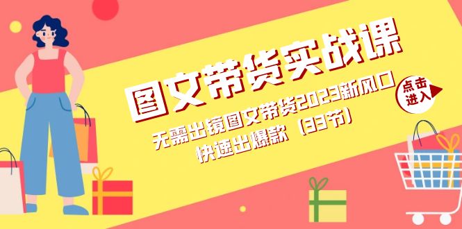 图文带货实战课：无需出镜图文带货2023新风口，快速出爆款（33节）-选优云网创