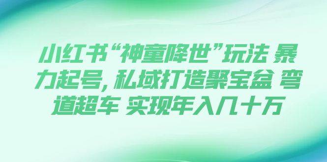 小红书“神童降世”玩法 暴力起号,私域打造聚宝盆 弯道超车 实现年入几十万-选优云网创