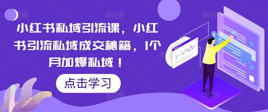 小红书私域引流课，小红书引流私域成交秘籍，1个月加爆私域-选优云网创