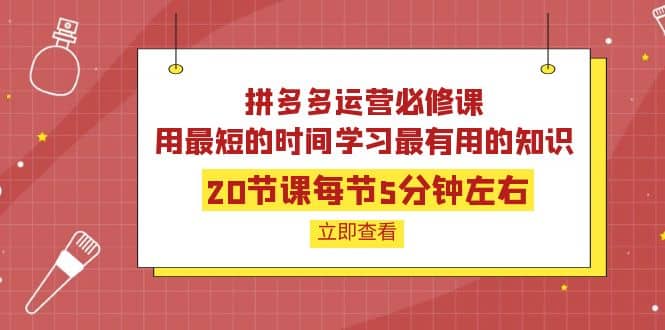 拼多多运营必修课：20节课每节5分钟左右，用最短的时间学习最有用的知识-选优云网创