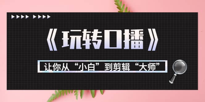 月营业额700万+大佬教您《玩转口播》让你从“小白”到剪辑“大师”-选优云网创