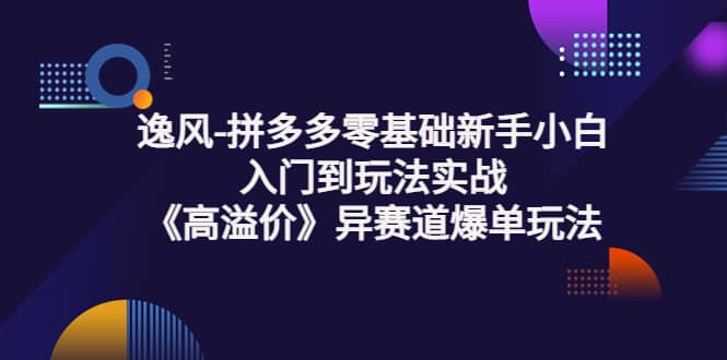 拼多多零基础新手小白入门到玩法实战《高溢价》异赛道爆单玩法实操课-选优云网创