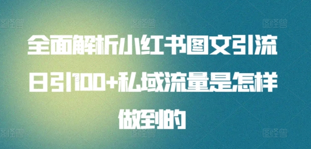 全面解析小红书图文引流日引100私域流量是怎样做到的-选优云网创