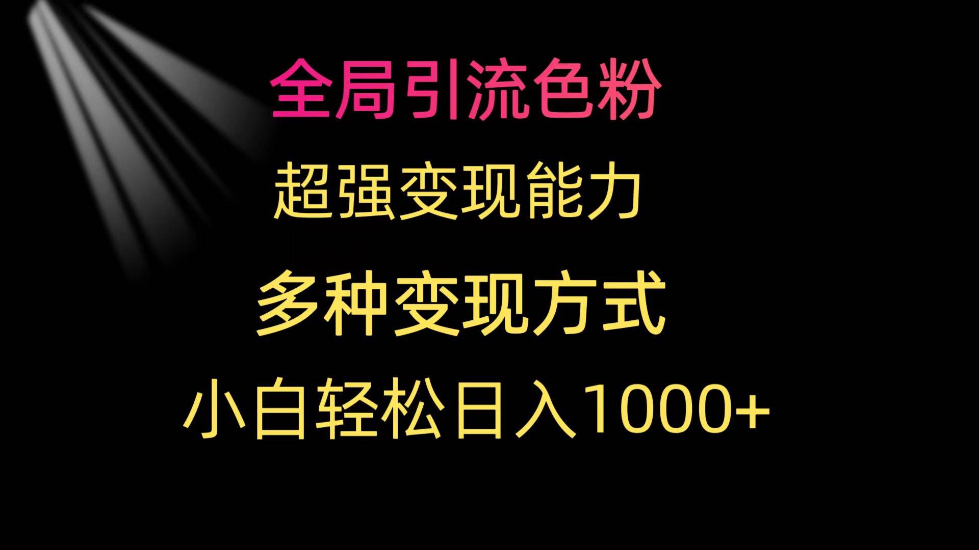 全局引流色粉 超强变现能力 多种变现方式 小白轻松日入1000+-选优云网创