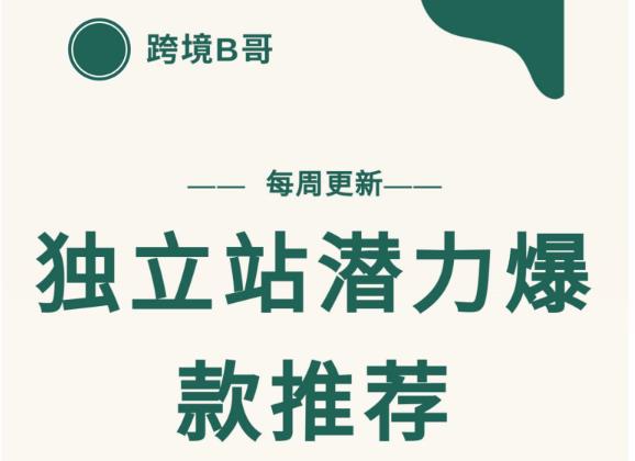 【跨境B哥】独立站潜力爆款选品推荐，测款出单率高达百分之80（每周更新）-选优云网创