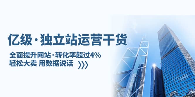 独立站运营干货：全面提升网站·转化率超过4%，轻松大卖 用数据说话-选优云网创