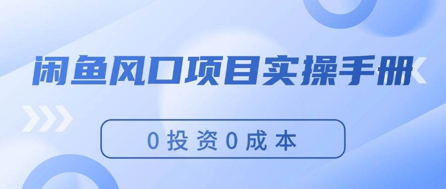 闲鱼风口项目实操手册，0投资0成本，让你做到，月入过万，新手可做-选优云网创