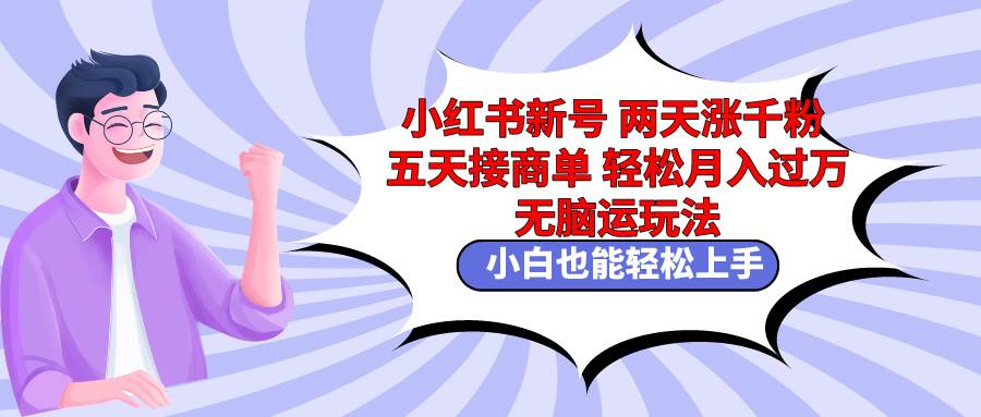 小红书新号两天涨千粉五天接商单轻松月入过万 无脑搬运玩法 小白也能轻…-选优云网创