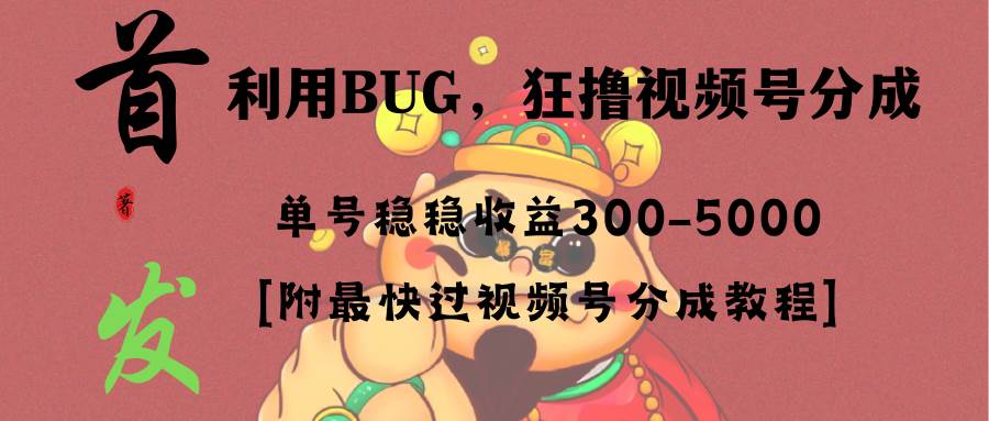 全网独家首发，视频号BUG，超短期项目，单号每日净收益300-5000！-选优云网创