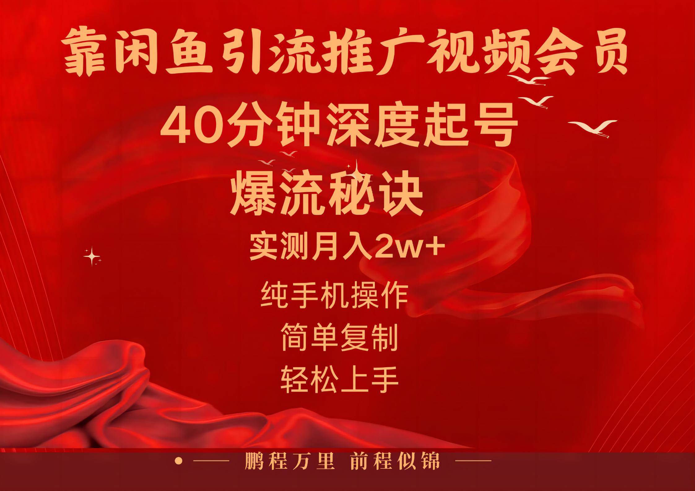 闲鱼暴力引流推广视频会员，能做到日入2W+，操作简单-选优云网创