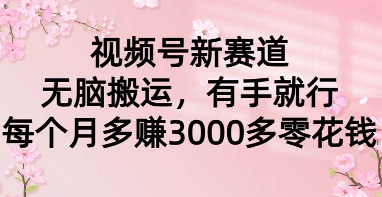 视频号新赛道，无脑搬运，有手就行，每个月多赚3000多零花钱-选优云网创