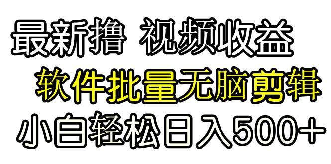 发视频撸收益，软件无脑批量剪辑，第一天发第二天就有钱-选优云网创