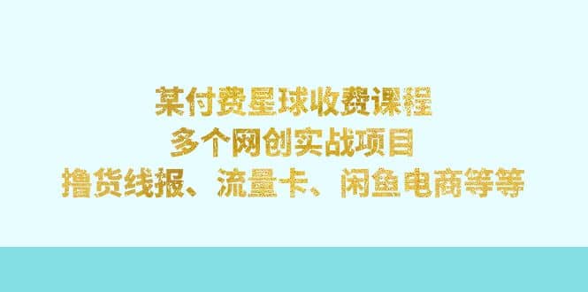 某付费星球课程：多个网创实战项目，撸货线报、流量卡、闲鱼电商等等-选优云网创