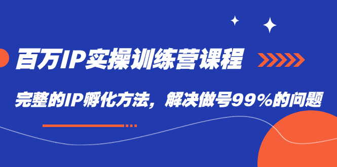 百万IP实战训练营课程，完整的IP孵化方法，解决做号99%的问题-选优云网创