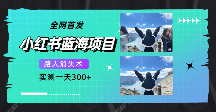 全网首发，小红书蓝海项目，路人消失术，实测一天300+（教程+工具）-选优云网创