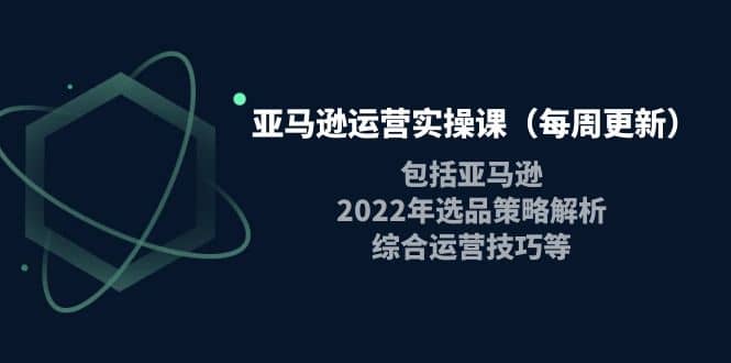 亚马逊运营实操课（每周更新）包括亚马逊2022选品策略解析，综合运营技巧等-选优云网创