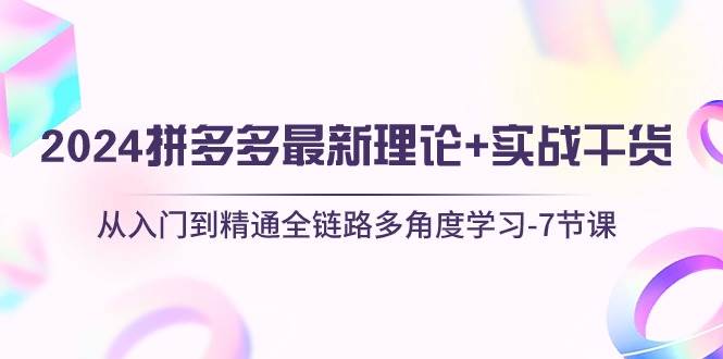 2024拼多多 最新理论+实战干货，从入门到精通全链路多角度学习-7节课-选优云网创