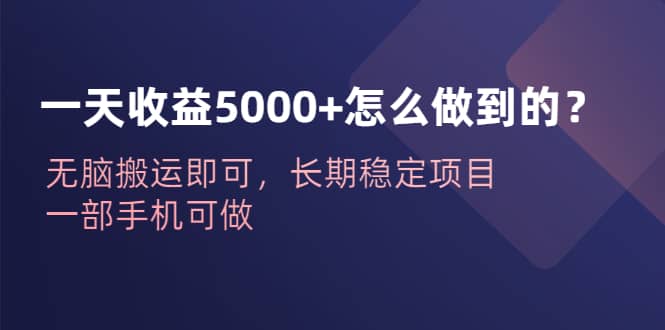 一天收益5000+怎么做到的？无脑搬运即可，长期稳定项目，一部手机可做-选优云网创